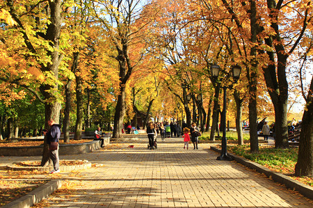 秋天公园里散步的人们图片