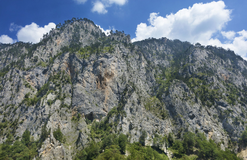 古老的黑山高岩石上覆盖着高大但稀有的树木黑山高的岩石上覆盖着稀有的植被壮观结石图片