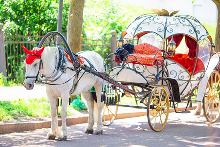 蹄动物欧洲老街上的传统马车的骑教练欧洲的菲克Fiaker镇图片