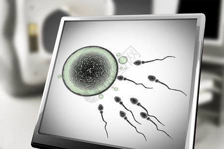 避孕再生产实验室中监测的精子和蛋细胞脱氧核糖酸第一的设计图片