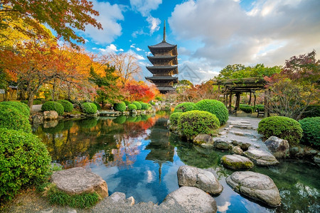 木制的秋天日本落京都的Toji寺庙和木塔宝佛教图片