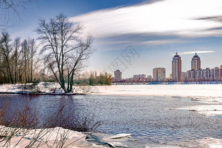 冬季高地建筑背景中靠近基辅冷冻的迪尼佩尔河柳树木和花粉林杨雪植物背景
