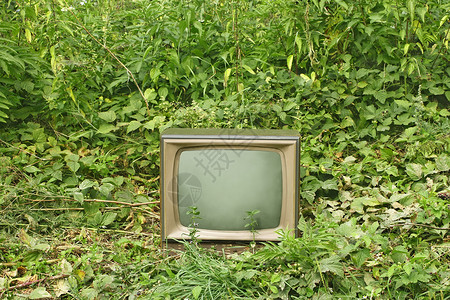 电路在各种绿色植物生态概念环境中的旧电视机装置生态学概念时间各种样的图片