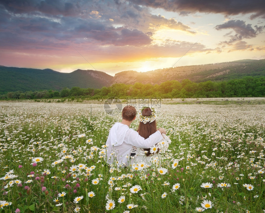 可爱的一对夫妇在菊花草地自然和浪漫的场景黎明坐着女图片