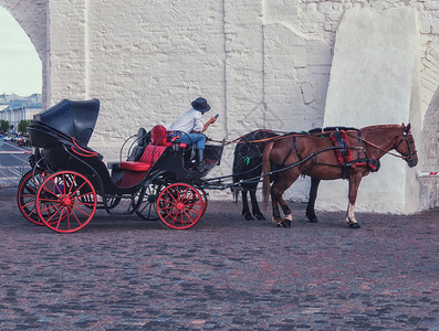 美丽的马和一辆漂亮旧马车浪漫的图片