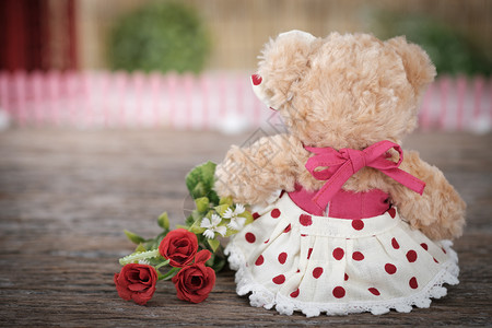 克隆羊多莉目的可爱泰迪熊在情人节概念中拿着一束玫瑰花有写空间AF点选择和模糊的文调形象快乐背景