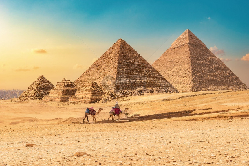 埃及纪念碑男人日落时金字塔背景上有骆驼的贝都因人图片
