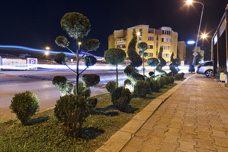 草地小路氖夜间城市行人道沿线的亮光绿灌木图示修剪的绿色灌木估计在夜晚灯光下修剪的绿色灌木背景图片