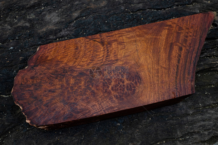 自然木材缅甸Padaukblurl木条纹外形制质美工艺术或背景图案科学名称为Pterocarpusmascarpus行业紫檀颜色图片
