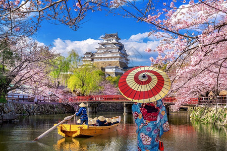 绽放身着日本传统和服的亚裔妇女在日本冰地观望樱花和城堡年轻的姬路图片