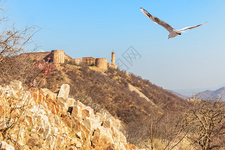 印度斋浦尔和贾伊加赫堡山区著名的岩石户外图片