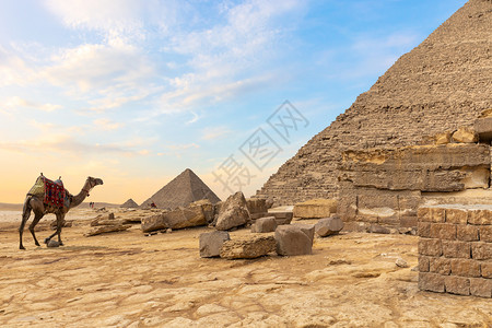 假期埃及沙漠金字塔和骆驼埃及沙漠金字塔和骆驼太阳世界图片