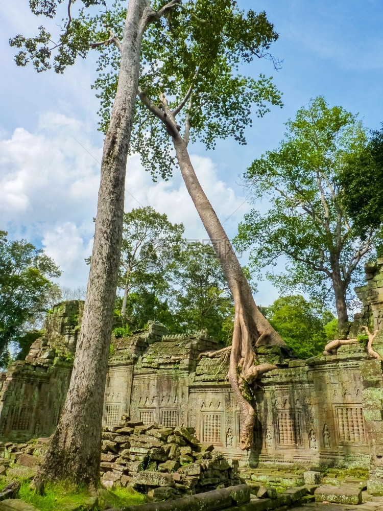 柬埔寨暹粒吴哥地区的PreaKhan寺庙老的遗产过去图片