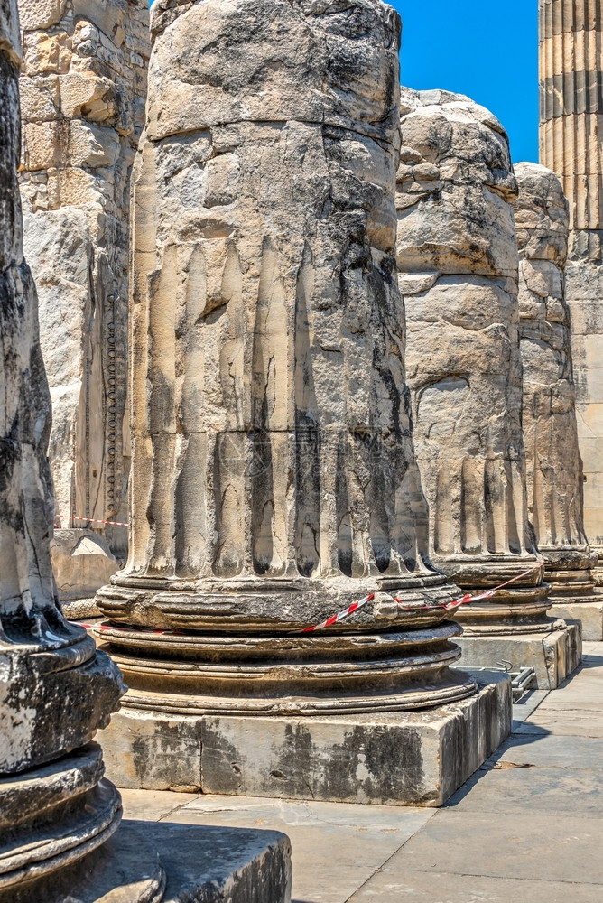 根据位于土耳其迪马的阿波罗寺庙东面一列柱子的基地在土耳其迪马的阿波罗寺露天阳光明媚的夏日列建造火鸡图片