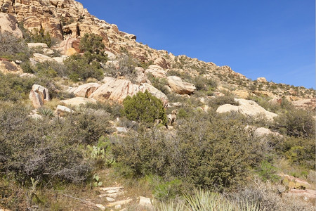 多岩石的观察莫哈韦沙漠干燥地貌和红岩层峡谷地面图片