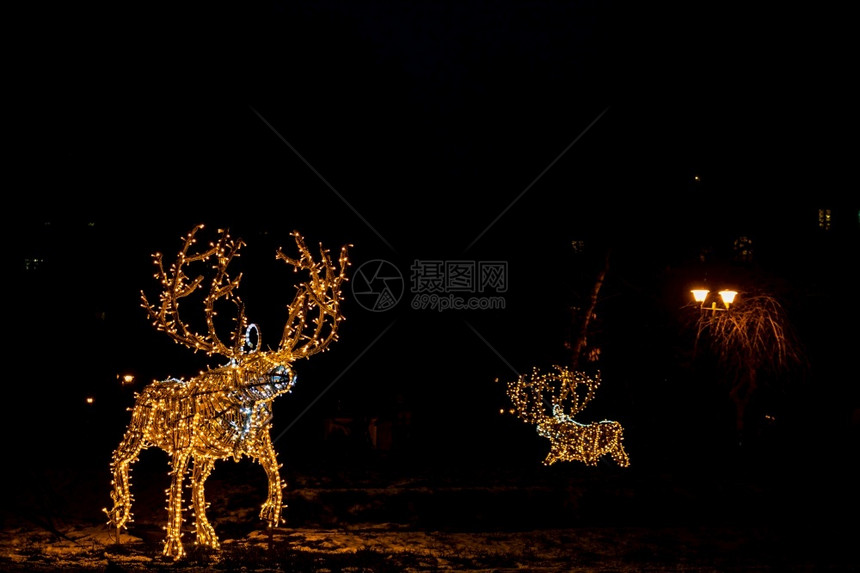 冬天罗马尼亚布加勒斯特市中心Cismigiu公园花的圣诞装饰品灯户外图片