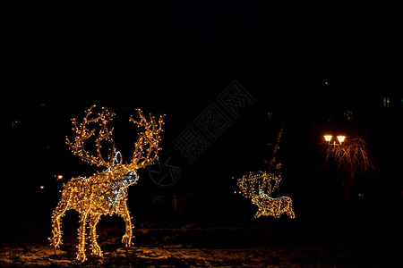 西斯米久冬天罗马尼亚布加勒斯特市中心Cismigiu公园花的圣诞装饰品灯户外背景