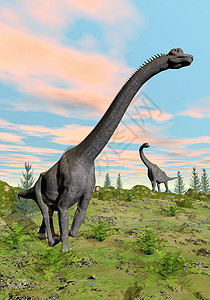 古风古色灭绝山动物两只恐龙在自然界中由多彩的日落绿草形成色的恐龙3D成形设计图片