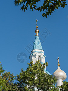蓝色天空背景的树间教堂穹顶的圆之花景观宗教上帝图片