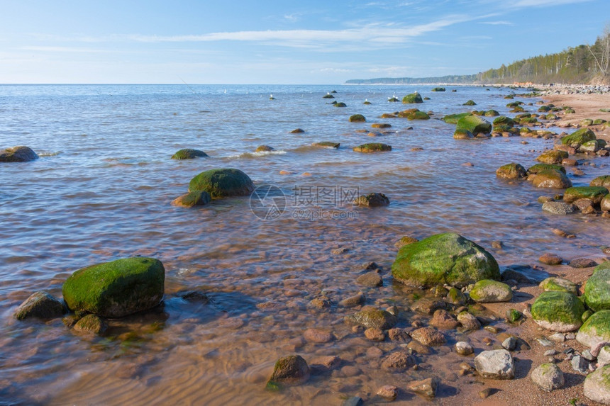 拉脱维亚波罗的海图贾市面有岩石和阳光的托拉斯波罗海岸夏天颜色图片