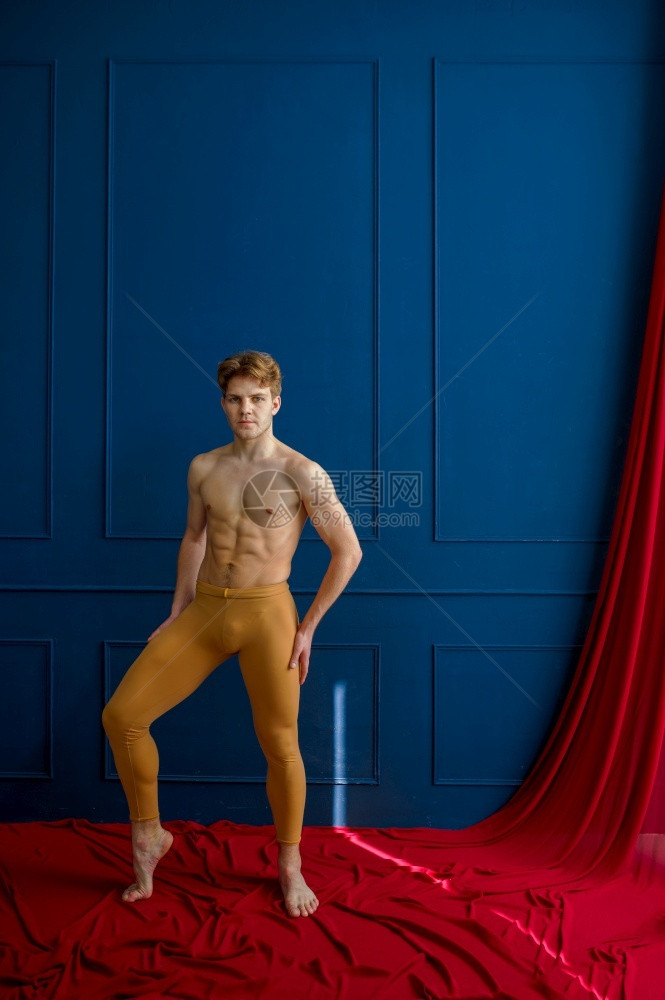 专业的墙壁男芭蕾舞演员在蹈室摆姿势背景是蓝墙和红布表演者肌肉发达动作优雅男芭蕾舞演员在蹈室摆姿势模型图片