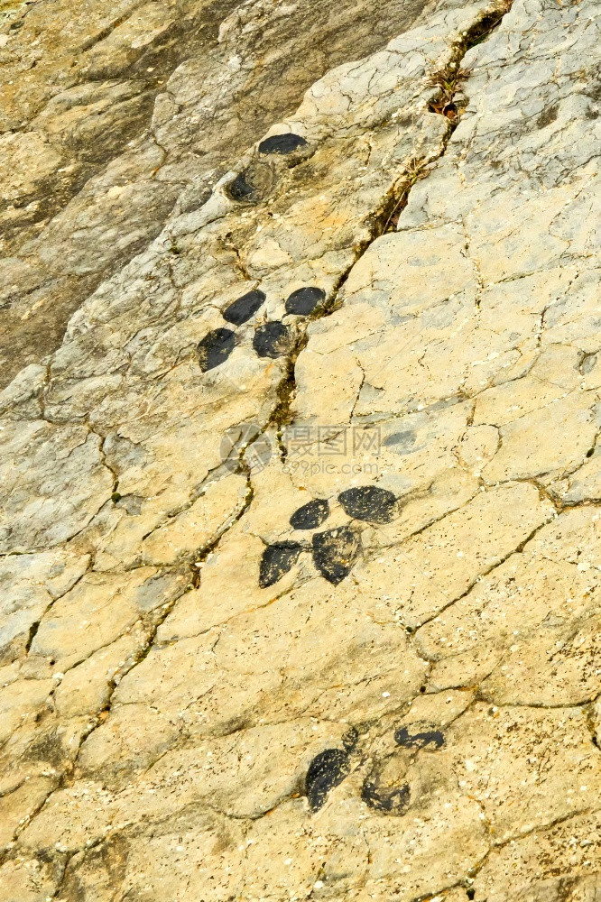 动物群著名的FuentesalvoVillardelRioIchnites古生物矿床索里亚高地卡斯蒂利和莱昂西班牙欧洲吹嘘图片