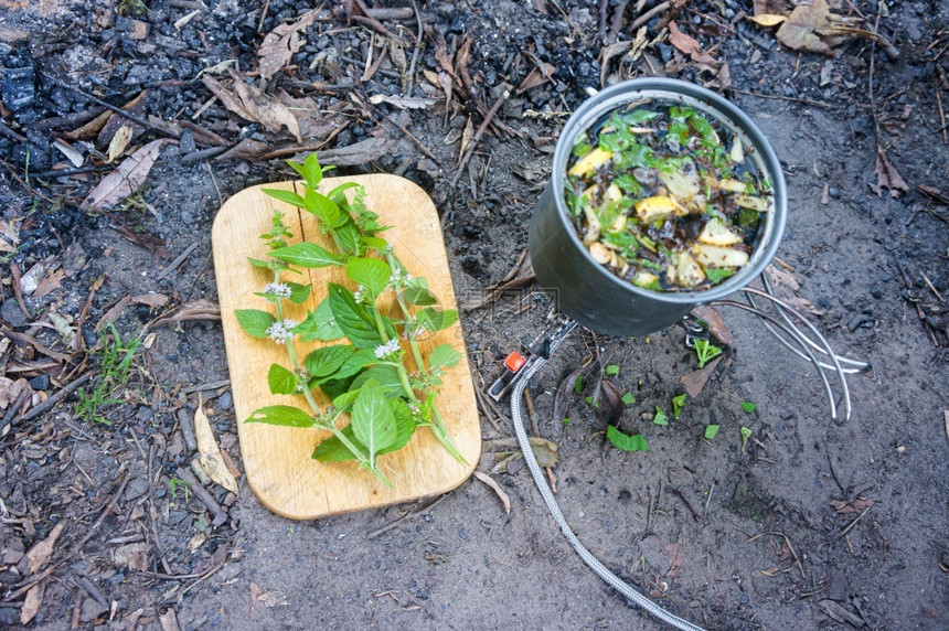 游客在火上煮茶用柠檬和薄荷加柠檬水在火上煮茶极端绿色图片