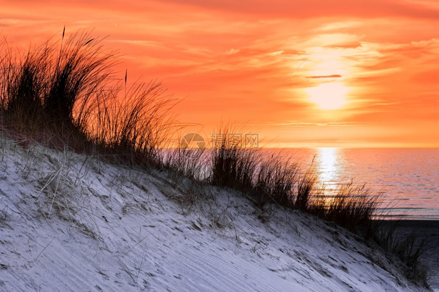 橙子海岸线夜晚色日落无地海岸有沙丘和太阳图片