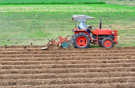 人们农业用红色拖拉机在耕种土地的农民田壤图片