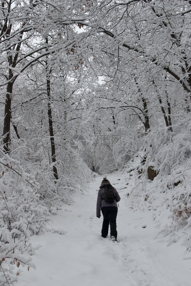 雪地里行走的女性图片