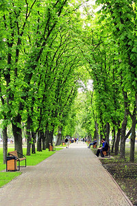 有长廊小径和大绿树的公园有长廊小径的美丽公园高绿树和长椅生活干走图片