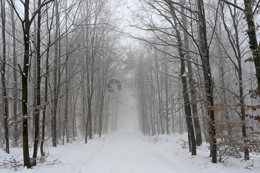 速度冬季在雪中危险驾驶交通和恶劣天气概念交通和恶劣天气的概念沥青车图片