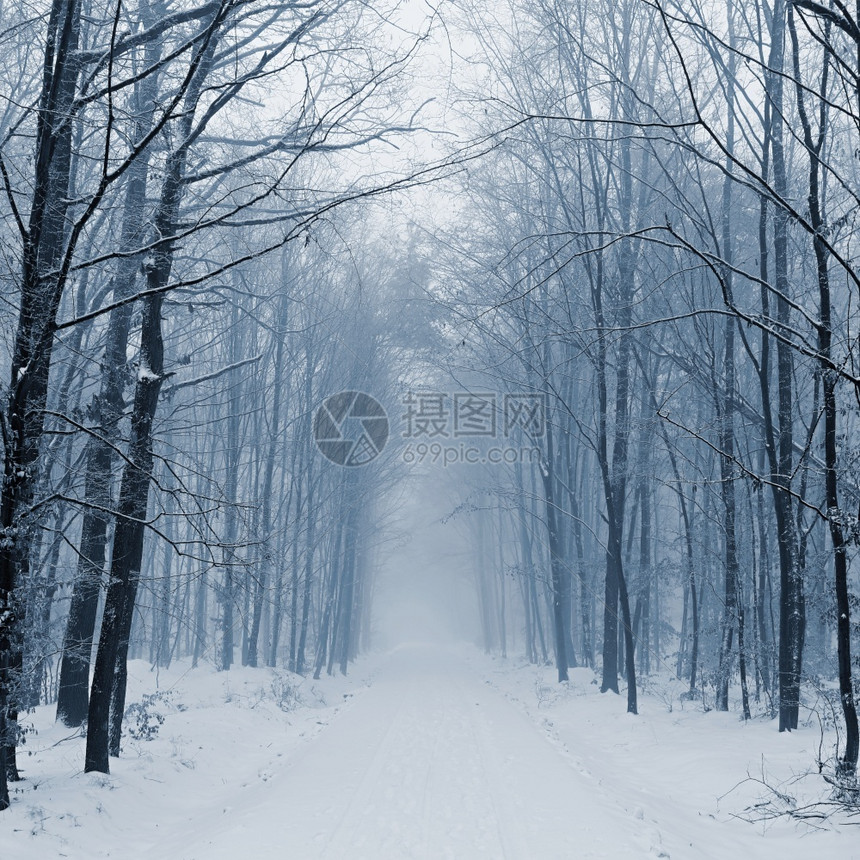 冬季在雪中危险驾驶交通和恶劣天气概念交通和恶劣天气的概念树木旅行危险的图片