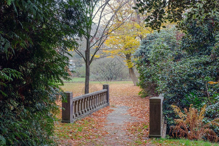 遗产草拱绿色公园中的老石桥美丽色彩绿公园中的老石桥图片