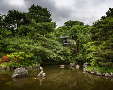 文化苍鹭坐在池塘的岩石上丸山公园京都日本结石植物群图片