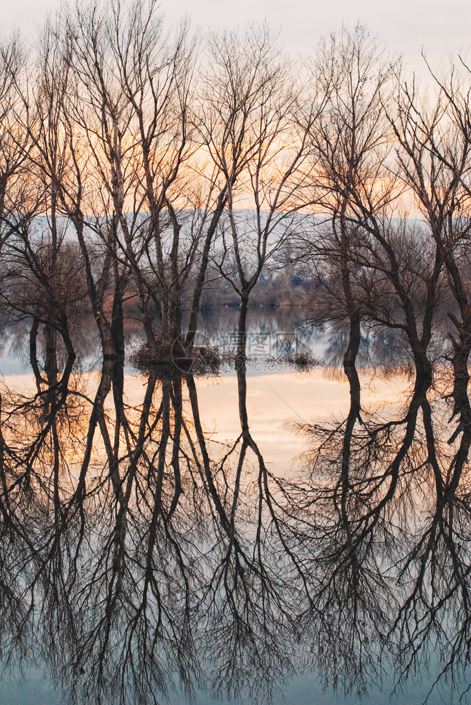 树木日落环境黄昏湖风景观中的反射图画Dustsk湖图片