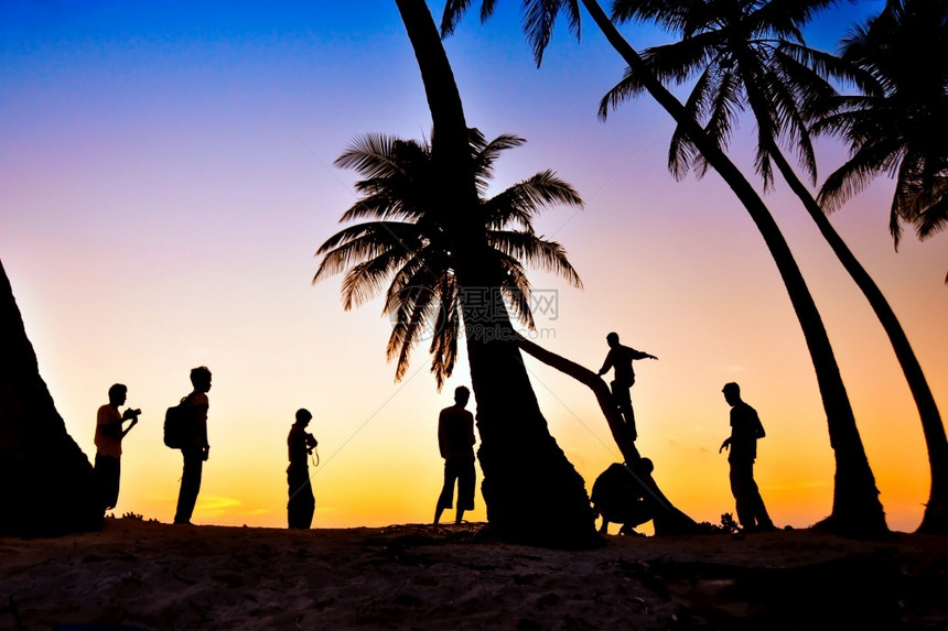 日落时棕榈树附近人们的轮椅笏美丽夏天图片