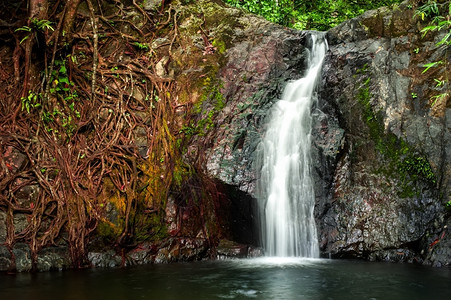 蕨类热带雨林景观有丛植物和小瀑布的流水老挝VangVieng万荣自然图片