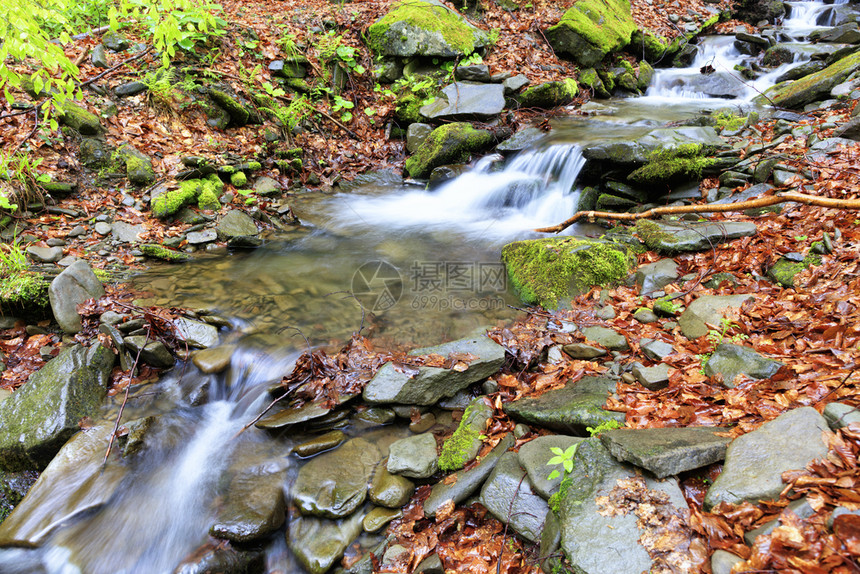 喀尔巴阡森林中的水流在石头之间快速流动图片