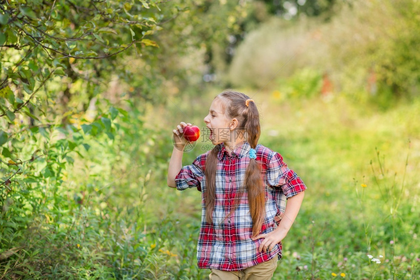 水果一种卫生保健个可爱的女孩在农场花园里吃苹果的画像秋天苹果收获一个可爱的女孩在农场花园里吃苹果的画像图片