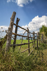 草地垂直的棒旧树干围栏农村地貌自然壁纸背景古老的树干篱笆自然墙纸背景图片