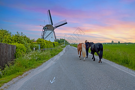 传统的天空水荷兰农村传统风车的荷兰景观来自荷兰城市图片