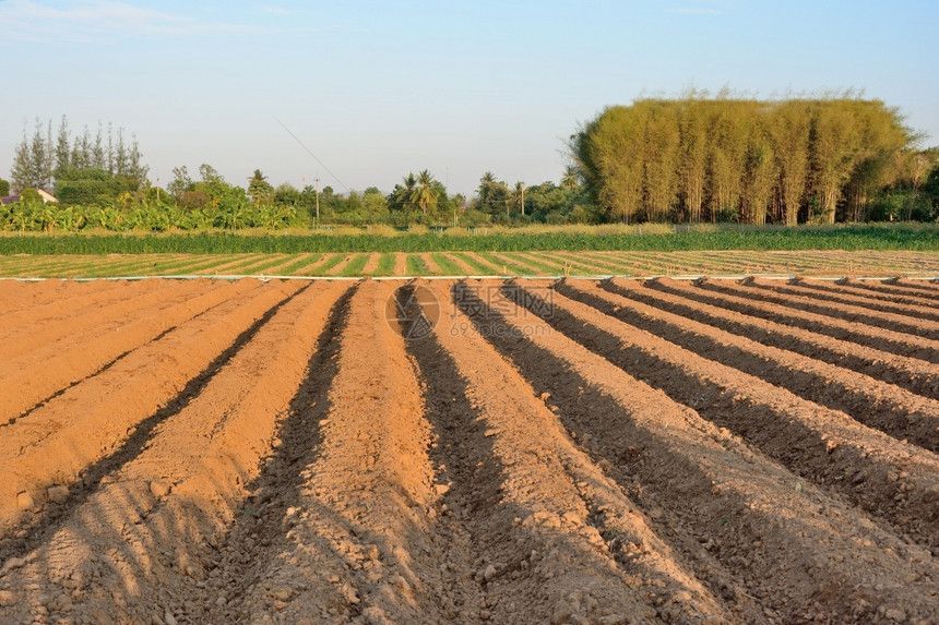 植物拖拉机制造的土壤线在泰国有蓝天和山地背景农业春天晴图片