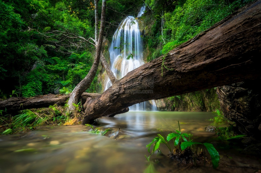 泰国热带森林的瀑布图片
