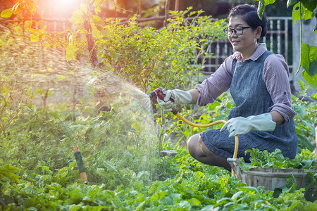 农业在家庭花园里放轻松和浇水的亚洲女种植人们图片