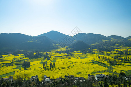 罗司田爬坡道景观罗平县螺田司油菜花小村落土地背景