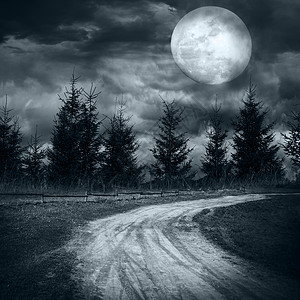 闹鬼德古拉在满月之夜天空下神秘的林中满月之夜一片漆黑的天空下图片