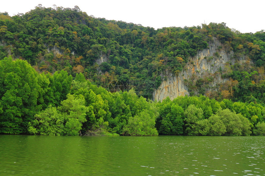 沼泽天空海红树林泰国图片