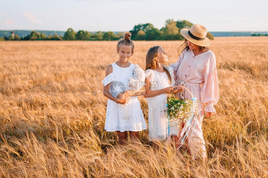 在小麦田中快乐的家庭母亲和女儿在夏季草地上快乐家庭在小麦田里玩耍玉米浪漫的黄色图片