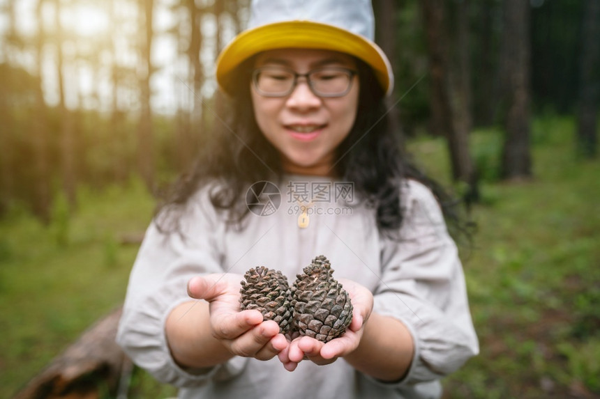 裙子身着白礼戴帽的亚洲女游客在自然小径森林公园上持松树绿中的锥圣诞节季图片